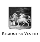 Regione del Veneto cliente di EngiMedia
