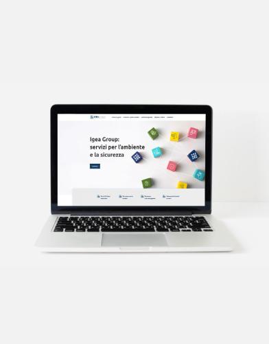 IGEA GROUP